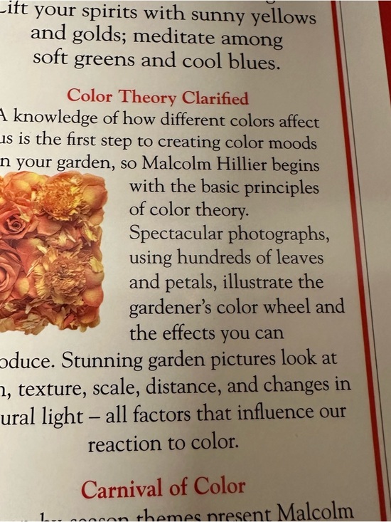 Malcolm Hillier’s Colour Garden-A Year-Round Guide - Picture 5 of 7